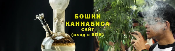 гидра Няндома