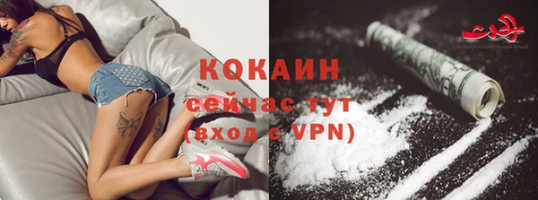 дмт Каменногорск